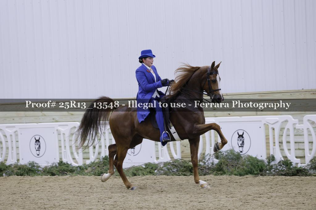 Proof Number 25R13_13548
