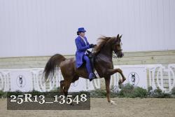 25R13_13548 thumbnail