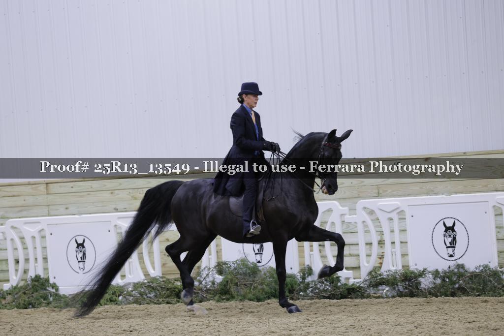 Proof Number 25R13_13549