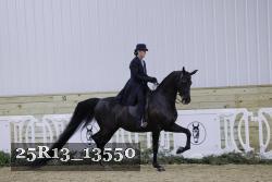 25R13_13550 thumbnail