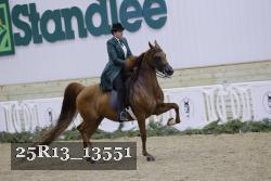25R13_13551 thumbnail