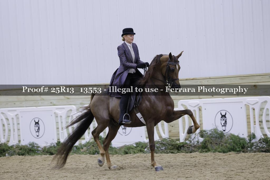 Proof Number 25R13_13553