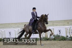 25R13_13553 thumbnail