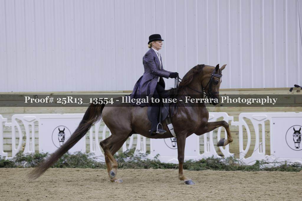 Proof Number 25R13_13554