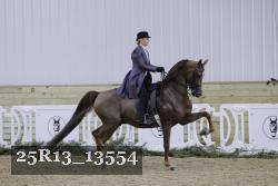 25R13_13554 thumbnail