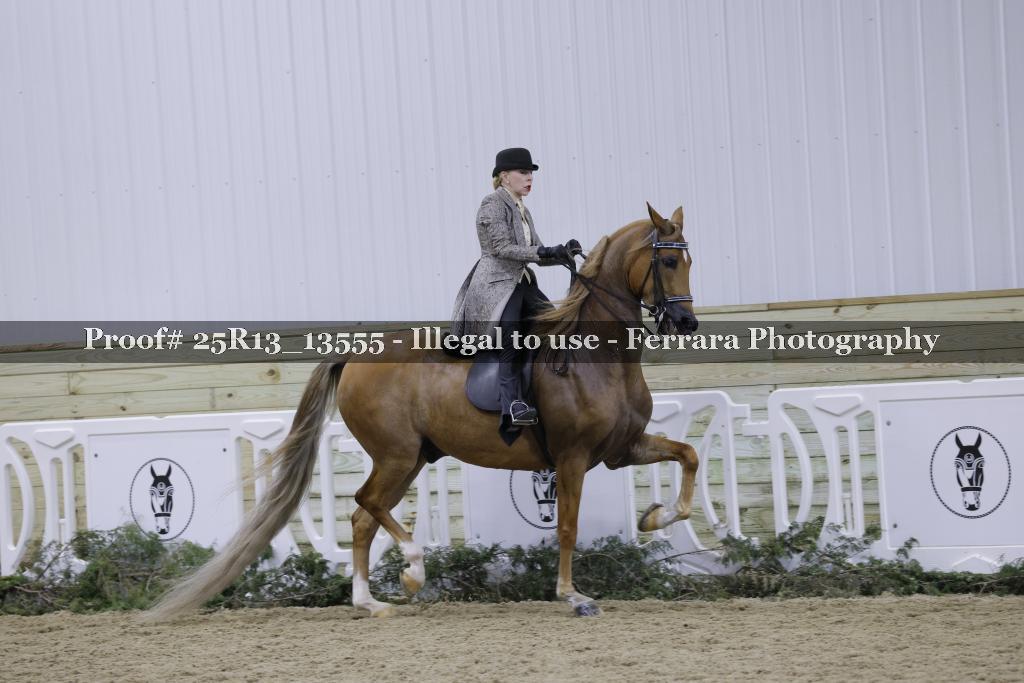 Proof Number 25R13_13555