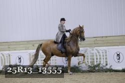 25R13_13555 thumbnail