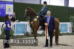 25R13_13556 thumbnail