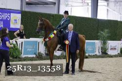 25R13_13558 thumbnail