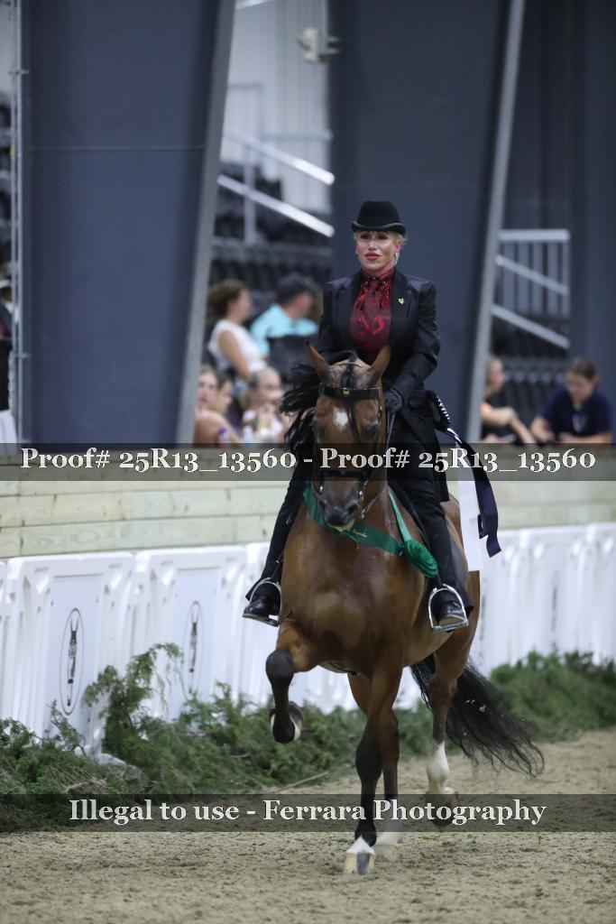 Proof Number 25R13_13560