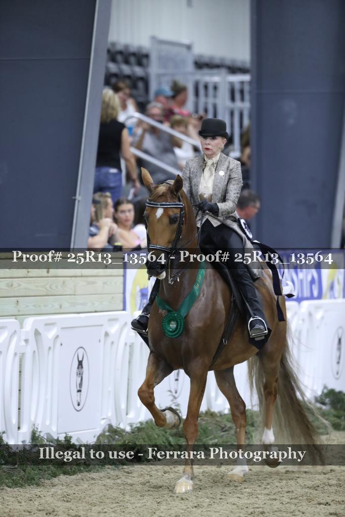 Proof Number 25R13_13564