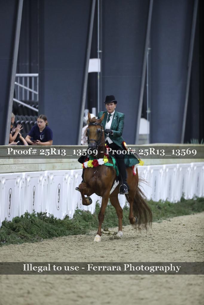 Proof Number 25R13_13569