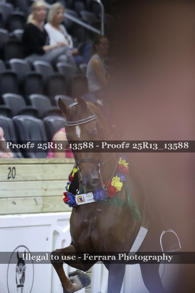 Proof Number 25R13_13588