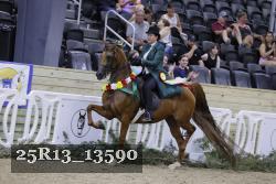 25R13_13590 thumbnail
