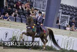25R13_13596 thumbnail