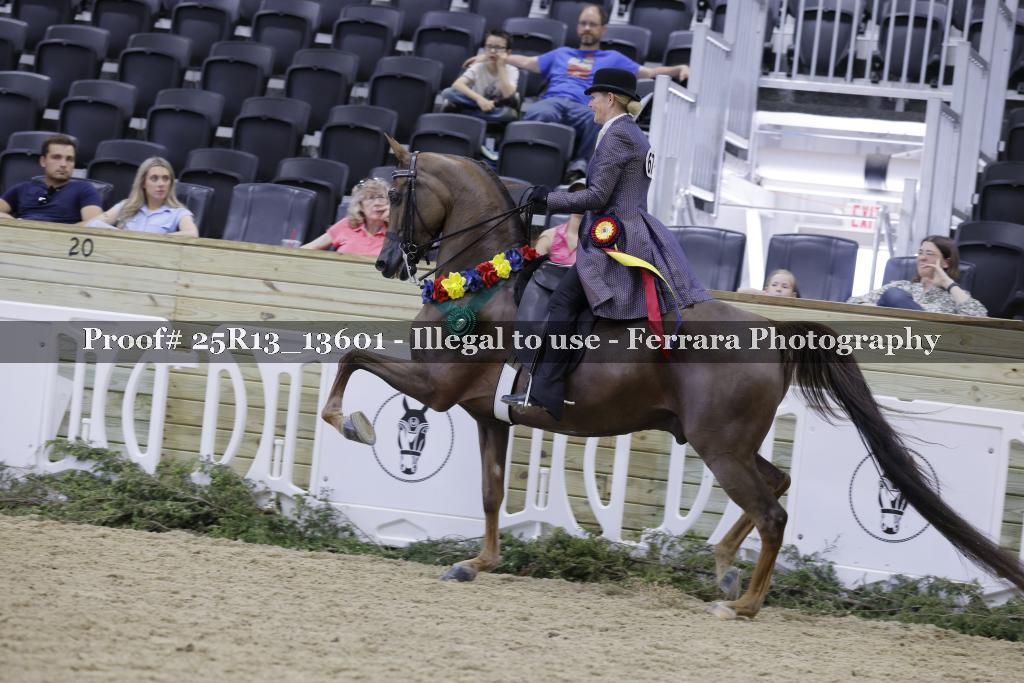 Proof Number 25R13_13601