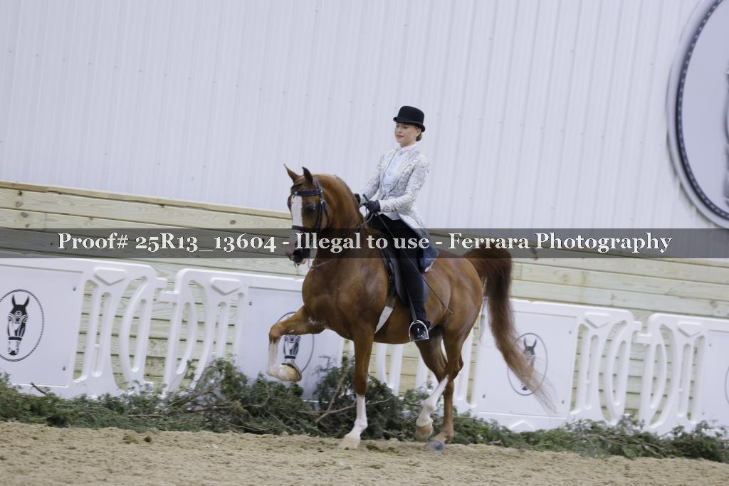 Proof Number 25R13_13604
