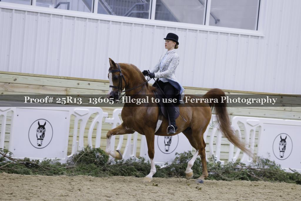 Proof Number 25R13_13605