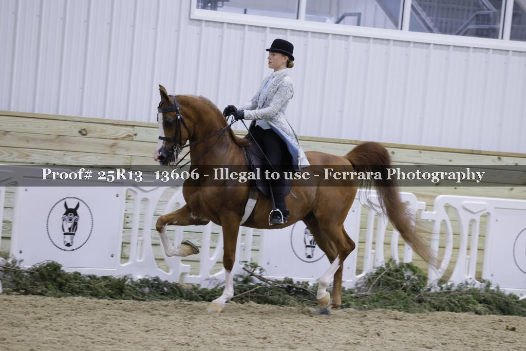 Proof Number 25R13_13606