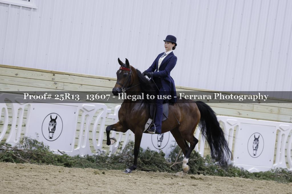 Proof Number 25R13_13607