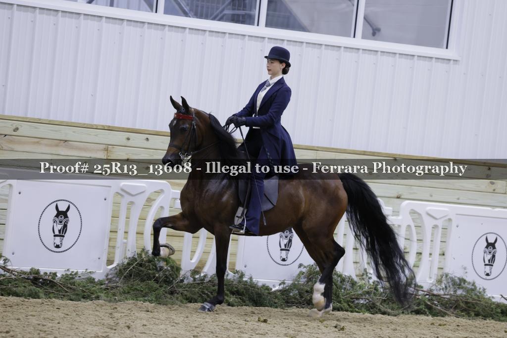 Proof Number 25R13_13608