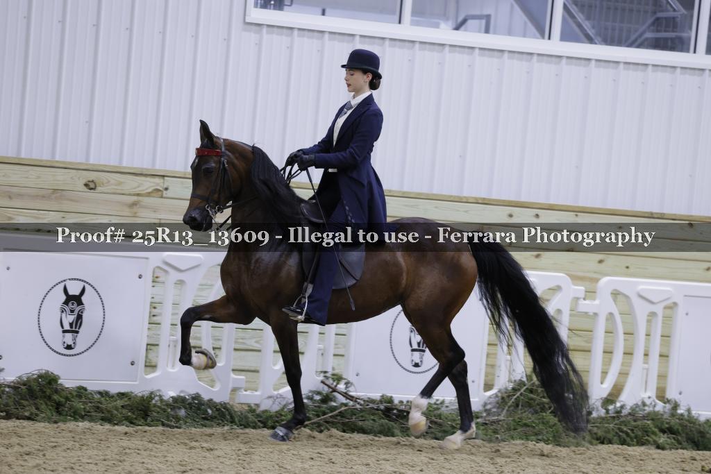 Proof Number 25R13_13609