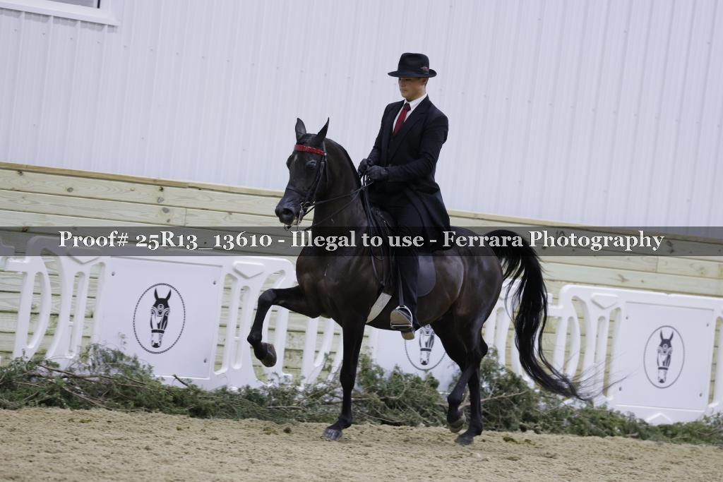Proof Number 25R13_13610