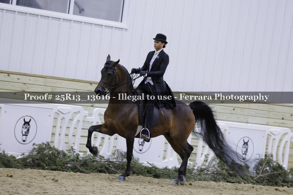 Proof Number 25R13_13616