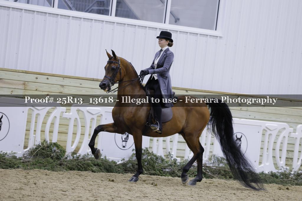 Proof Number 25R13_13618