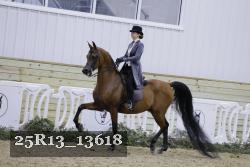 25R13_13618 thumbnail