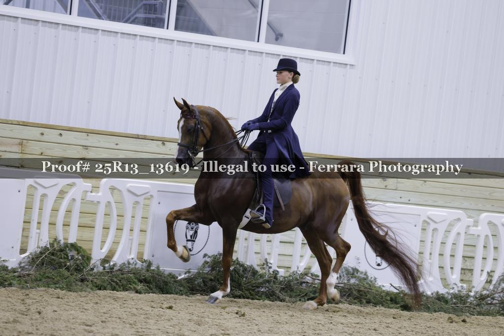 Proof Number 25R13_13619