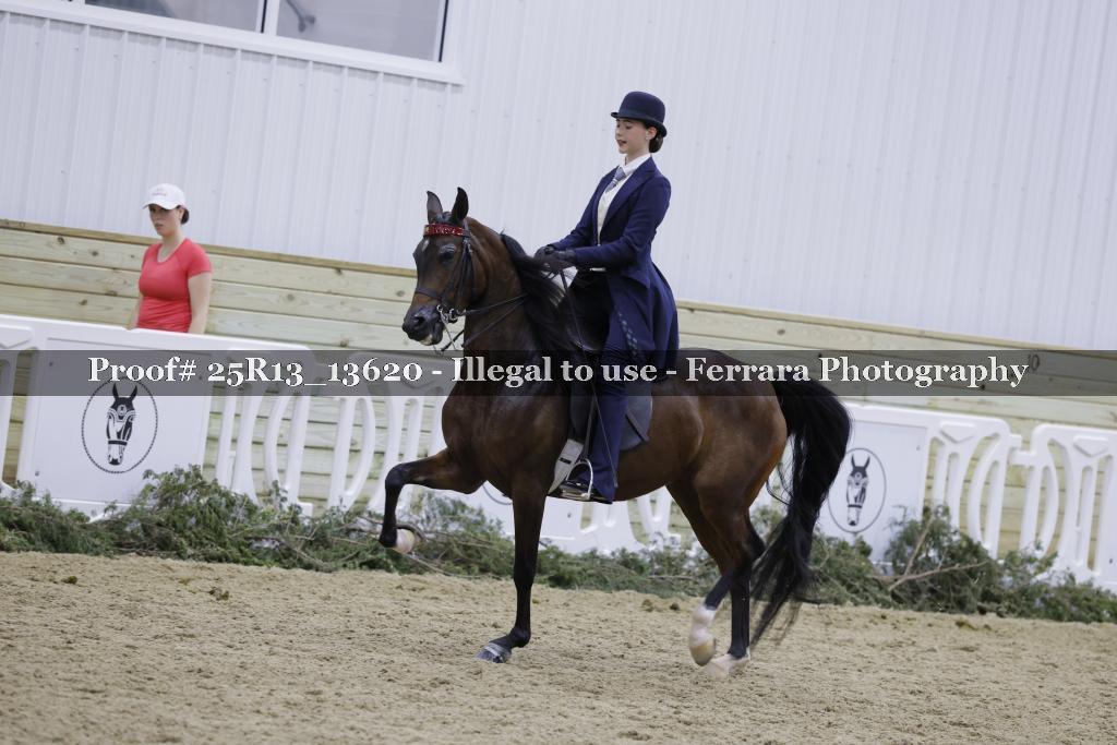 Proof Number 25R13_13620