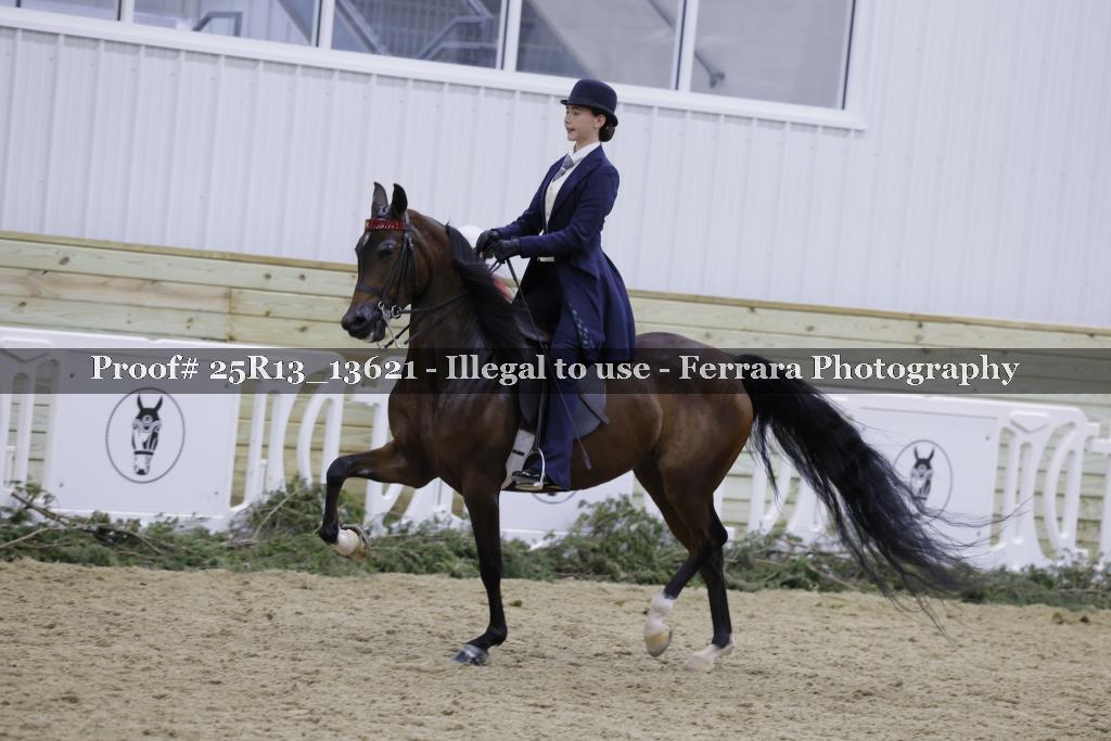 Proof Number 25R13_13621