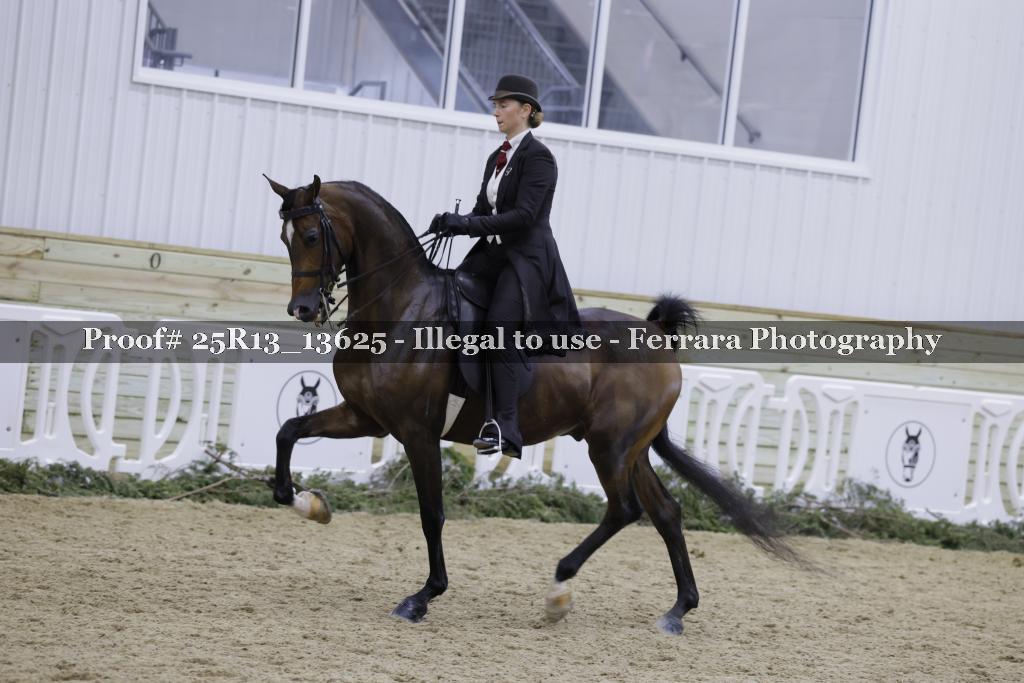 Proof Number 25R13_13625