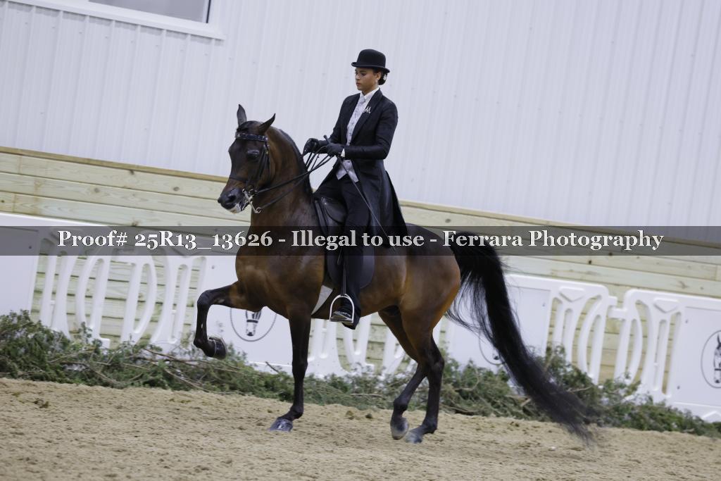 Proof Number 25R13_13626