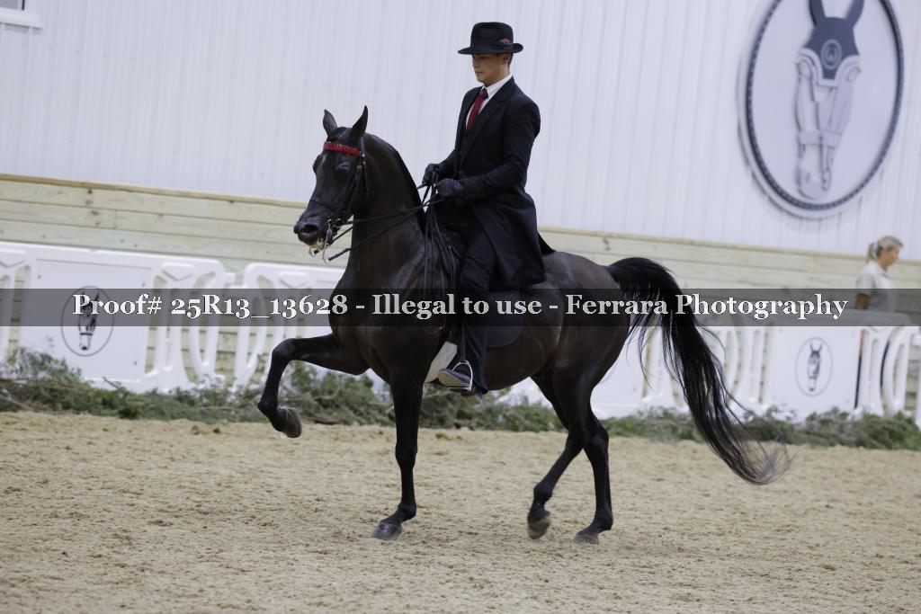 Proof Number 25R13_13628