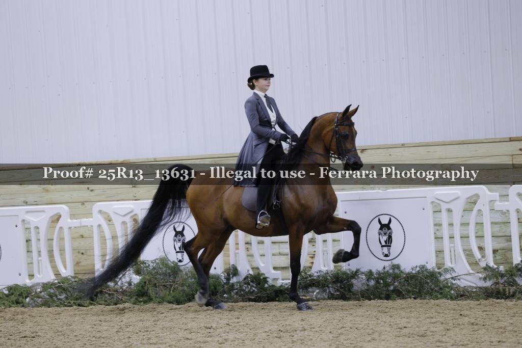 Proof Number 25R13_13631