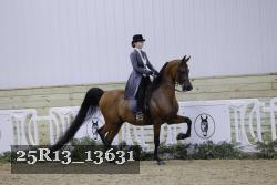 25R13_13631 thumbnail
