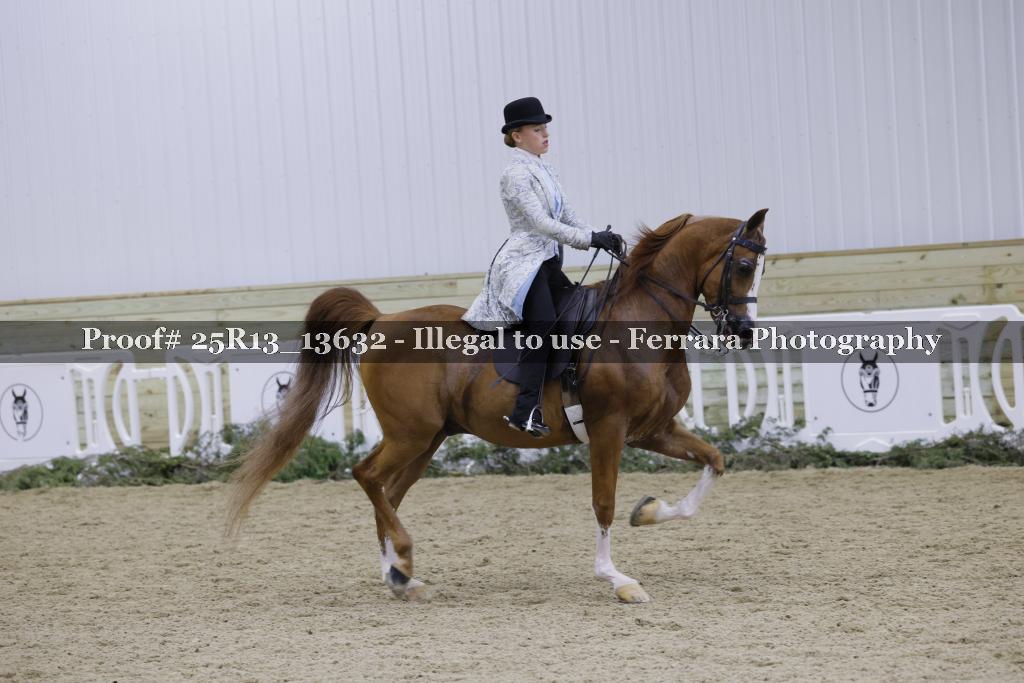 Proof Number 25R13_13632
