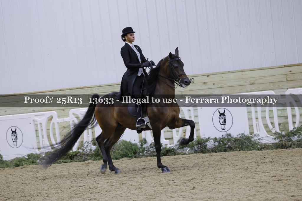 Proof Number 25R13_13633