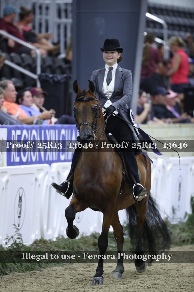 Proof Number 25R13_13646