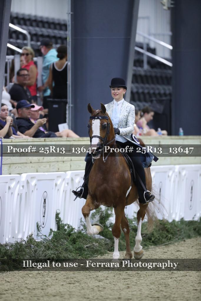 Proof Number 25R13_13647