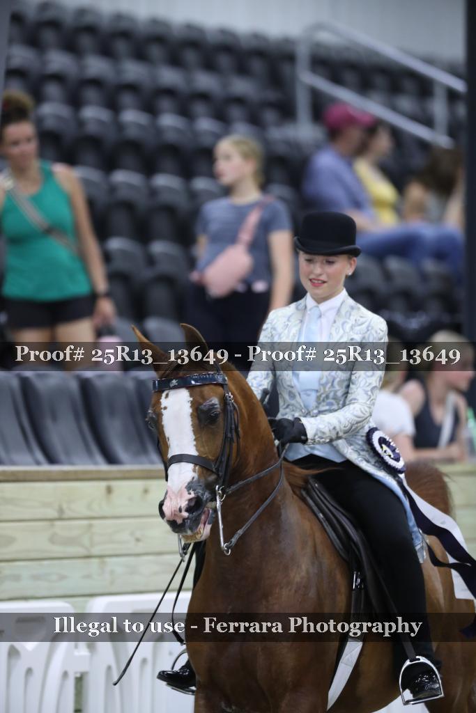 Proof Number 25R13_13649