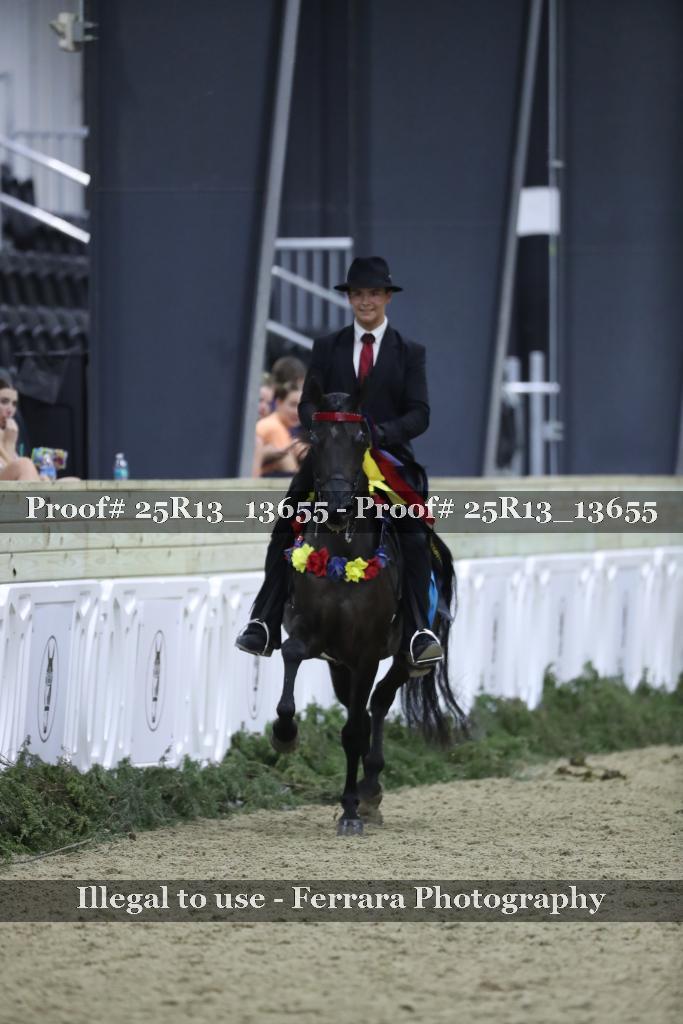 Proof Number 25R13_13655