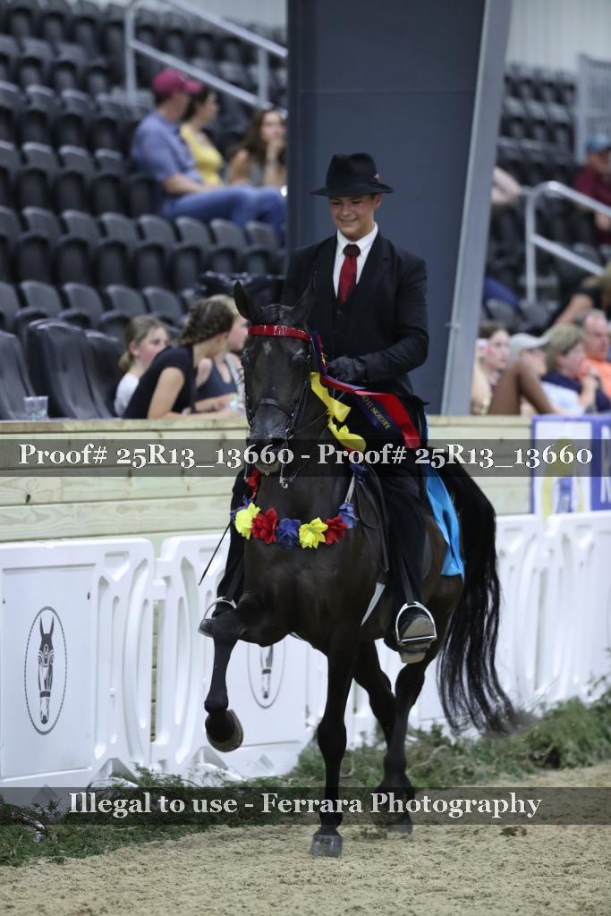 Proof Number 25R13_13660