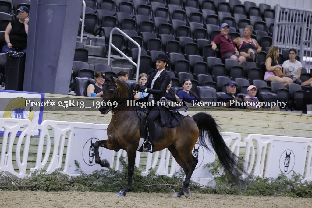 Proof Number 25R13_13669