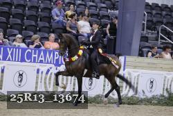 25R13_13674 thumbnail