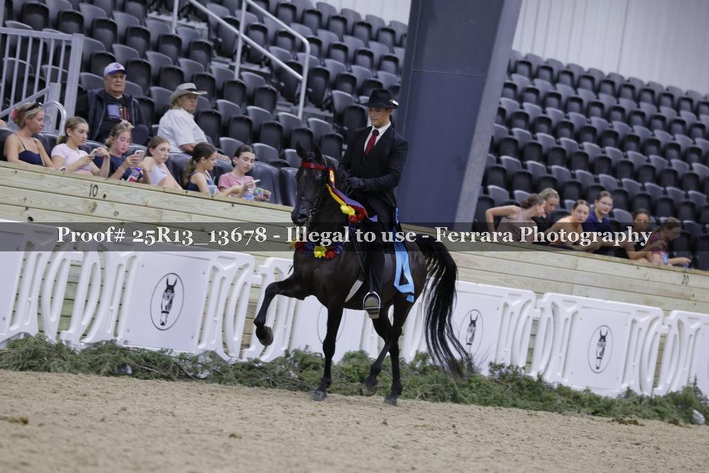 Proof Number 25R13_13678