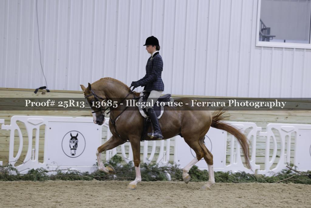 Proof Number 25R13_13685
