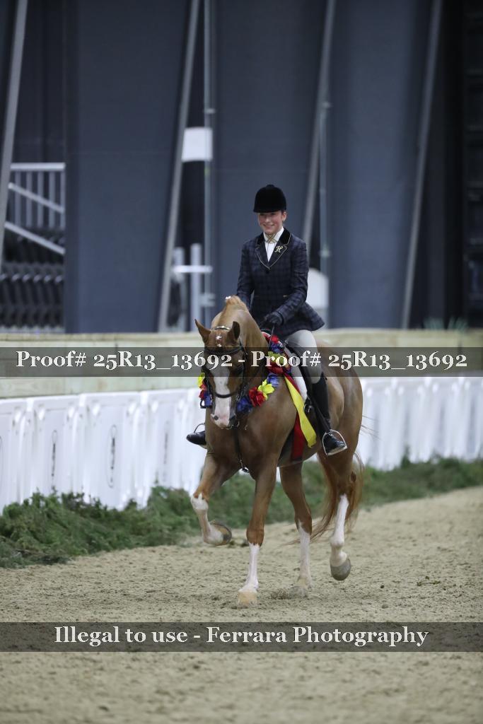 Proof Number 25R13_13692
